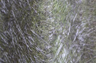 Pinchinthorpe fibreglass roof work